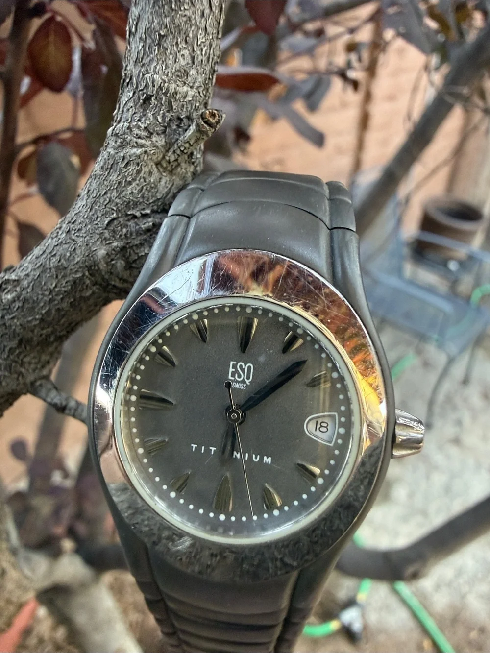 Titanium Women’s ESQ Swiss Watch